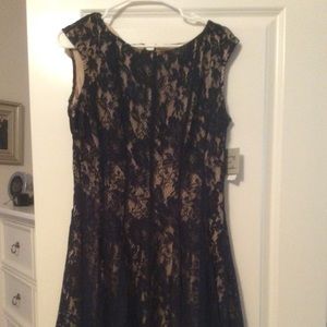 Navy/nude lace dress